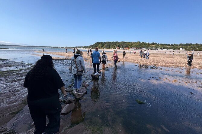 Fundy Shore Tour By Bus - Reversing Falls again at day’s end: same place, different water story