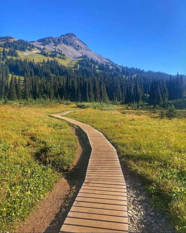 Garibaldi Park/ Panorama Ridge/ Hiking Day Trip - Key things that make this trip worth your time