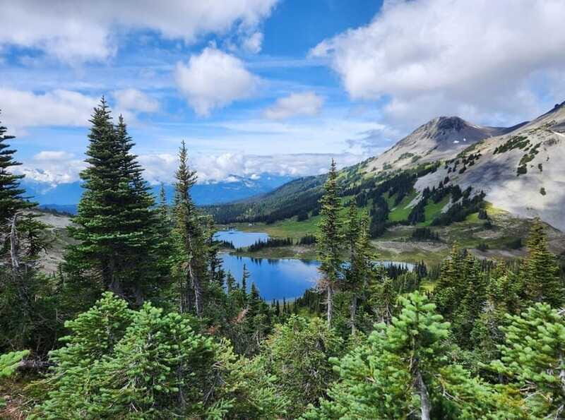 Garibaldi Park/ Panorama Ridge/ Hiking Day Trip - The Hike Itself: Switchbacks, Wildflower Meadows, Streams, and Ridgeline Views