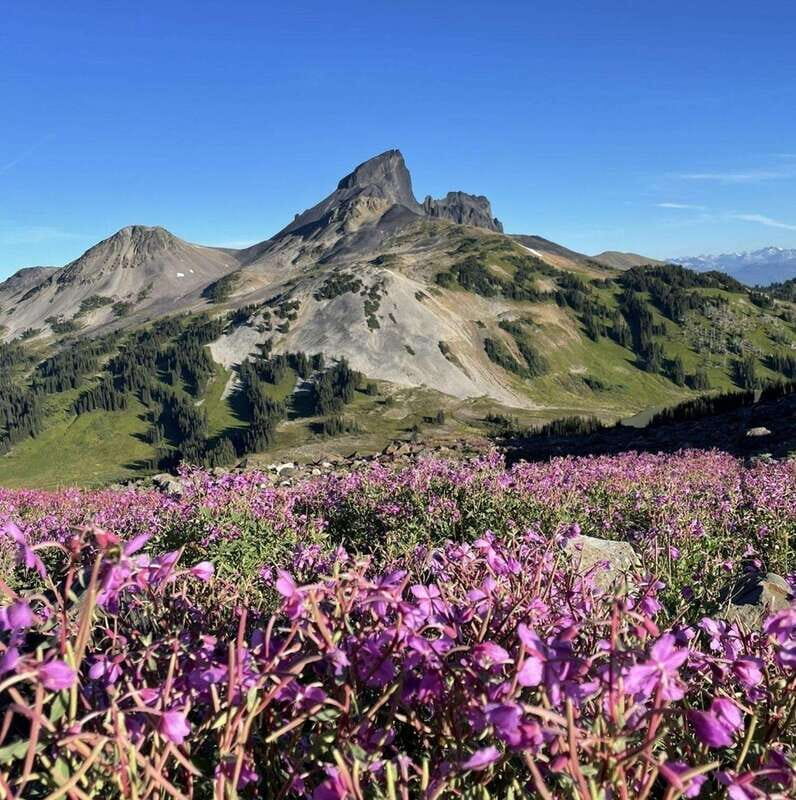 Garibaldi Park/ Panorama Ridge/ Hiking Day Trip - Price and Value for a 12-Hour Private Day ($475 per person)