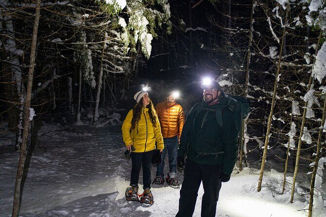 Gatineau Park Nocturnal Snowshoeing Adventure & Dinner - From Ottawa & Gatineau - Key Highlights That Make This Tour Worth Your Time