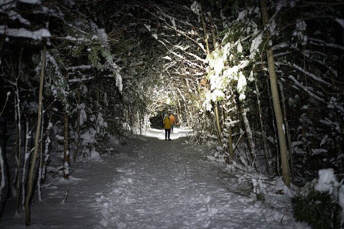 Gatineau Park Nocturnal Snowshoeing Adventure & Dinner - From Ottawa & Gatineau - The Warm Part: Wood-Stove Dinner at Healey Shelter