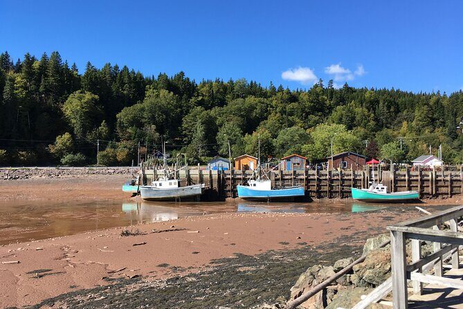 Go Fundy Tours - Tidal Timing Drives the Whole Saint John Morning