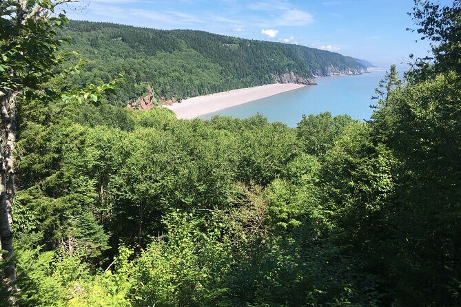 Go Fundy Tours - What’s Included (And the One Thing Not Included)