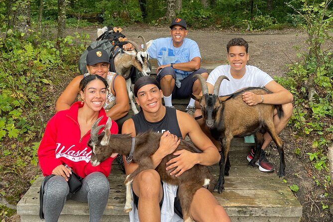 Goat Hiking, Beaver Dam Visit and picnic in Quebec forest - Goat hiking 101: leashes, cuddles, and an easygoing pace