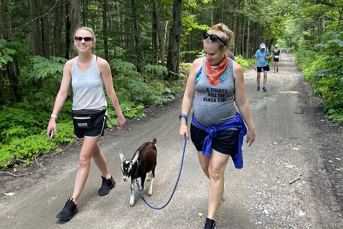Goat Hiking, Beaver Dam Visit and picnic in Quebec forest - Price and value: is $78.86 a good deal for 3.5 hours?