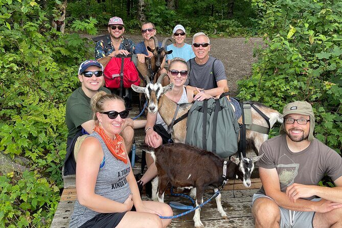 Goat Hiking, Beaver Dam Visit and picnic in Quebec forest - Who this goat hiking tour is best for (and who should reconsider)