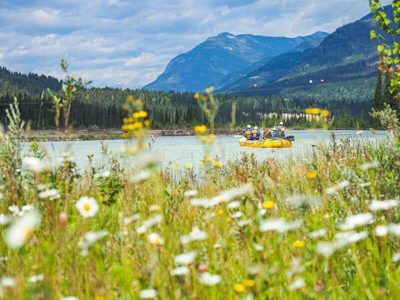 Golden, BC: Kicking Horse River Family Rafting with Lunch - The Waterfall Stop: A Break From the Paddle Rhythm