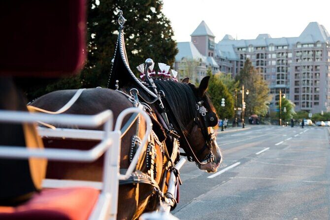 Grand Horse-Drawn Carriage Tour of Victoria - Totem poles at Thunderbird Park: the stories stick with you