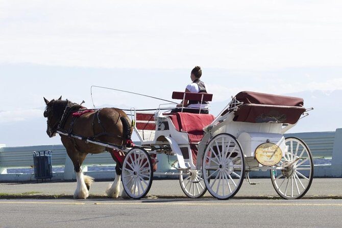 Grand Horse-Drawn Carriage Tour of Victoria - Mile Zero and the Terry Fox monument: Canada in two clear landmarks
