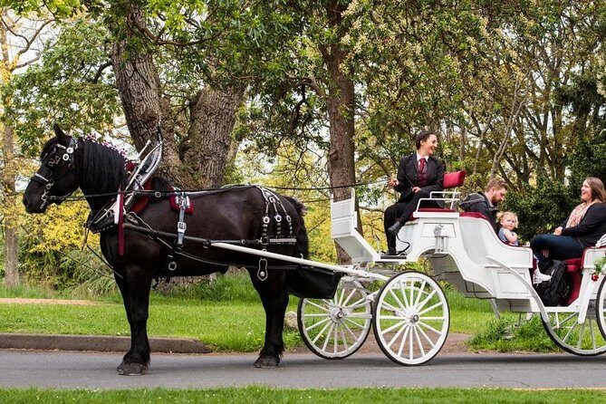 Grand Horse-Drawn Carriage Tour of Victoria - Meeting on Belleville Street: the start you can actually find