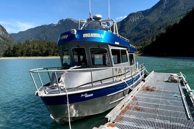 Grizzly Bear Expedition - What you’ll eat and when: a tour that actually feeds you