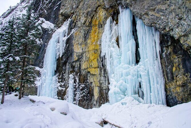 Grotto Canyon Majestic Ice Walk tour from Banff, Calgary, Canmore - Key Highlights You’ll Feel Right Away