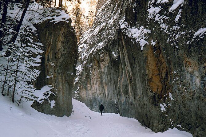 Grotto Canyon Majestic Ice Walk tour from Banff, Calgary, Canmore - Grotto Canyon Ice Walk: what this tour is really like