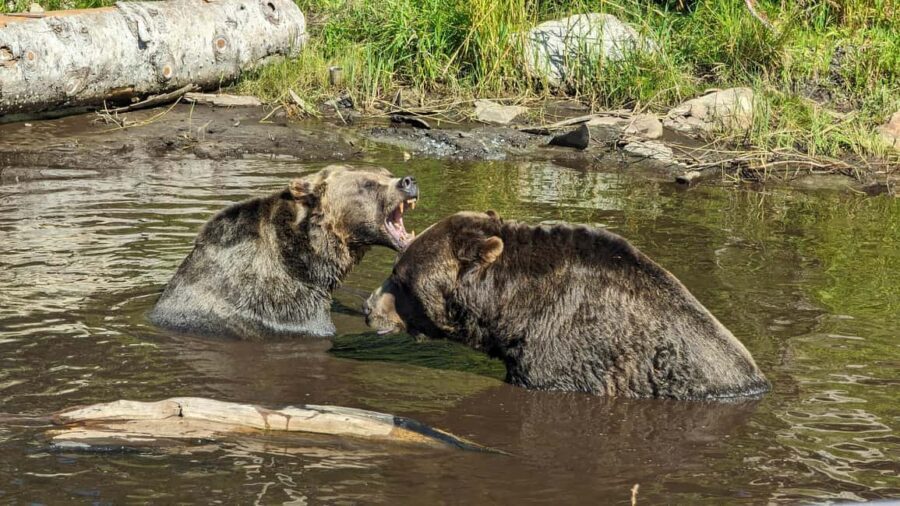 Grouse Mnt+StanleyPark+Hatchery+Cleveland Dam+LynnCanyonTOUR - Capilano Lake and Cleveland Dam: Short Stops With Big Photo Payoff