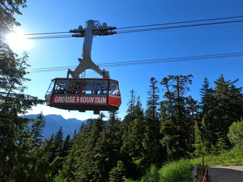 Grouse Mnt+StanleyPark+Hatchery+Cleveland Dam+LynnCanyonTOUR - Capilano Lush Rainforest + Stanley Park: Forest Calm, Then City Icon