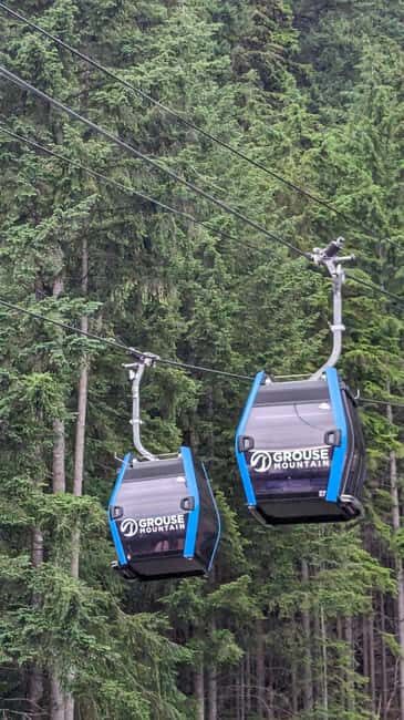 Grouse Mnt+StanleyPark+Hatchery+Cleveland Dam+LynnCanyonTOUR - Should You Book This Vancouver North Shore Tour?