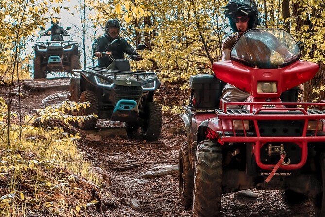Guided ATV Adventure Tours in Kaladar - ATV Thrills Around Northbrook: What This Half-Day Feels Like