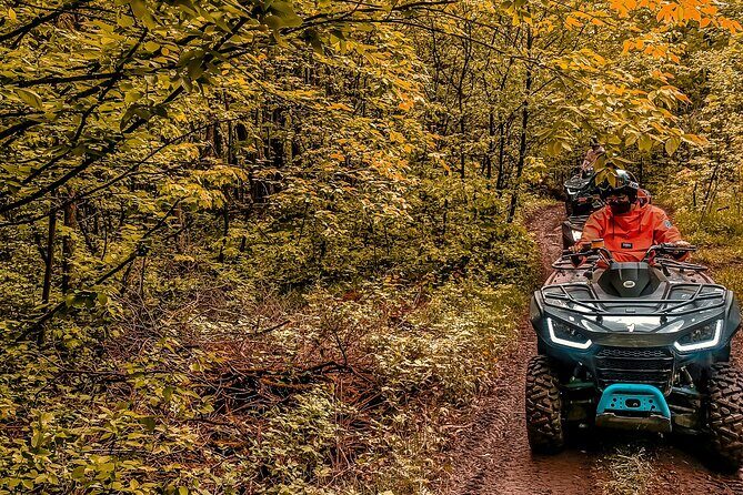 Guided ATV Adventure Tours in Kaladar - Price and Value: Is $185.58 Worth It?