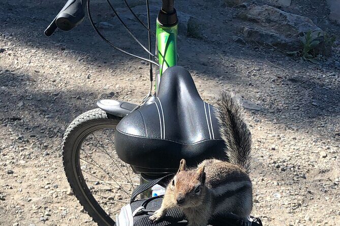 Guided Bike Tour on Historical Kettle Valley Railway at Myra Canyon & Wine Tour - The Bike Portion: 24 km, 18 Trestles, and 2 Tunnels
