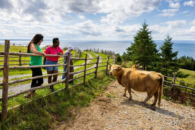 Guided Highland Village and Baddeck Bus Tour for Cruise Excursion - The Scenic Drive and the Extra Photo Stops That Matter