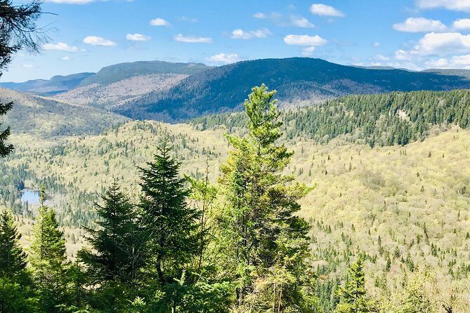 Guided Hike in Jacques-Cartier National Park - Price and value: what $119.41 buys you (and when it feels worth it)
