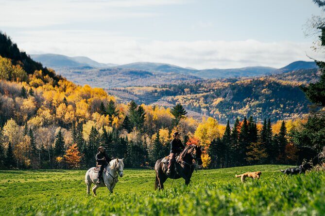 Guided Horse Riding in the Bay of Saint Paul Valley - Following the Guide’s Stories: Wildlife and Culture on the Trails