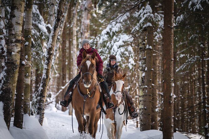 Guided Horse Riding in the Bay of Saint Paul Valley - Getting There: The Meeting Point and How to Show Up Ready