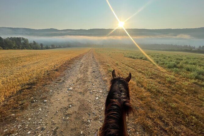 Guided Horse Riding in the Bay of Saint Paul Valley - What Weather Can Do to Your Ride (Snow Paths or Shady Forest Walks)