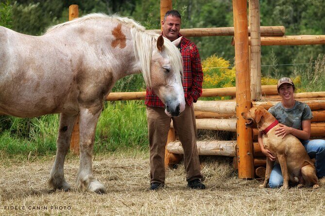 Guided Horse Riding in the Bay of Saint Paul Valley - Safety Basics That Make a First Horse Ride Actually Feel Easy
