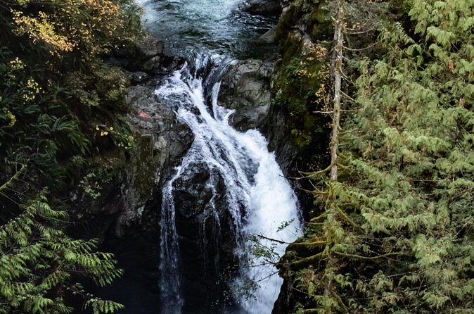 Guided Rainforest & Suspension Bridge Private Hike - Snacks, Rain Ponchos, and Hiking Poles: The Practical Perks That Matter