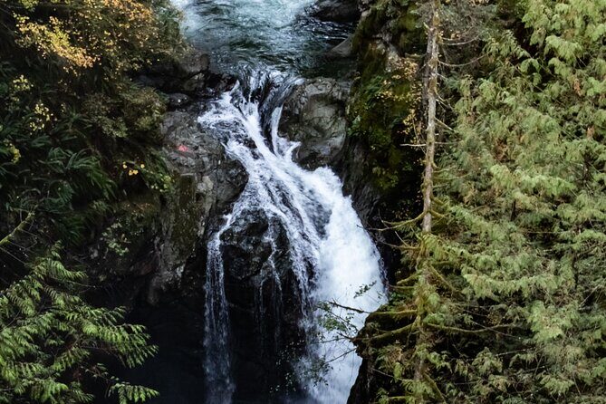 Guided Rainforest & Suspension Bridge Private Hike - Duration and Pace: From Easy Coasting to Real Trail Time