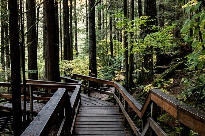 Guided Rainforest & Suspension Bridge Private Hike - Quick Tips Before You Go