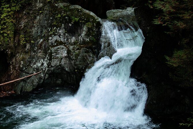 Guided Rainforest & Suspension Bridge Private Hike - Lynn Canyon Suspension Bridge Over Waterfalls (Yes, It’s Worth the Trip)