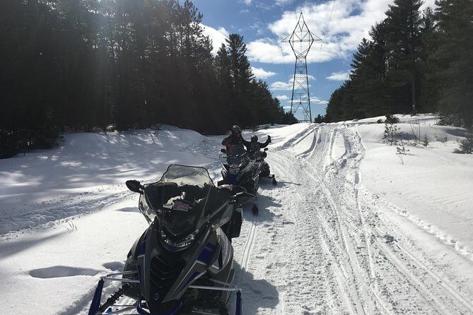 Guided Snowmobile Tours - Why This Ontario Snowmobile Tour Feels Like Real Winter