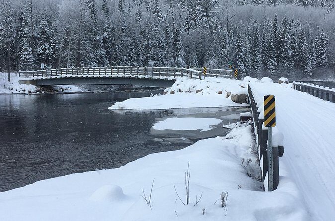 Guided Snowmobile Tours - Safety First: When Snow Isn’t Safe, You Still Ride