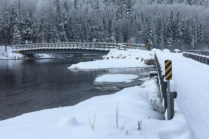 Guided Snowmobile Tours - The 11:00 am Meeting Point in Calabogie (and How to Start Smoothly)