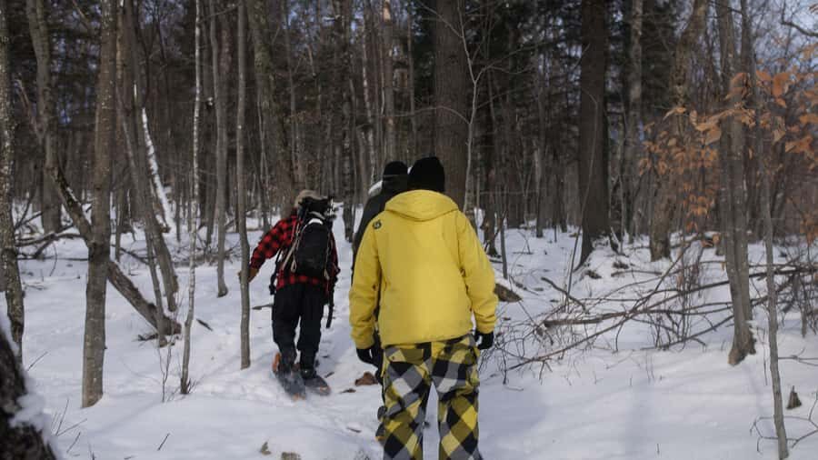 Guided Snowshoe Tour in Mont-Tremblant - Learning With a Folk-Touched Twist: What the Québécois Theme Adds