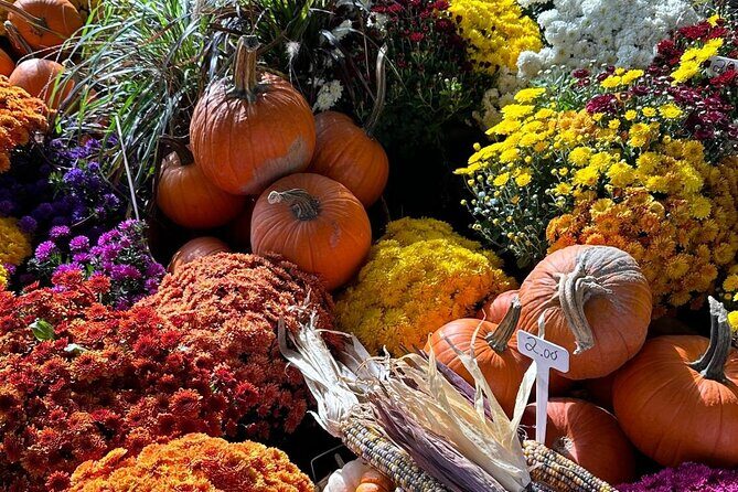 Guided Tour and Tastings at Jean-Talon Market with a Food Writer - Who This Tour Suits Best (and Who Might Skip It)