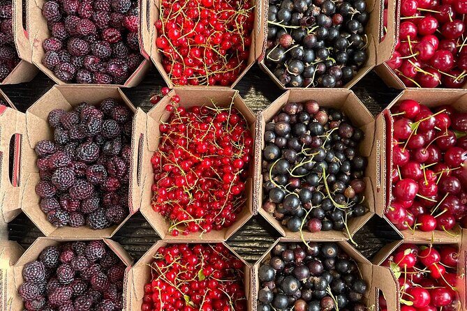 Guided Tour and Tastings at Jean-Talon Market with a Food Writer - Meeting at La Librairie Gourmande: Start Smart, Walk Easy