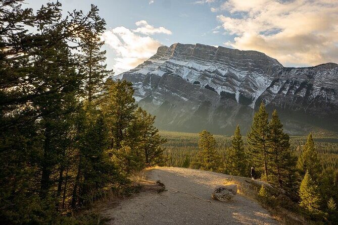 Guided Tour to Banff Highlights & Wildlife With Gondola Admission - Hoodoos Trail: short walk, big views down the Bow Valley
