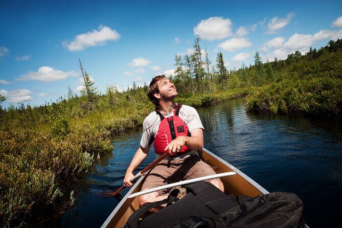 Guided Tours Algonquin Park - Oxtongue River Paddling: Rapids, Waterfalls, and Wildlife Time