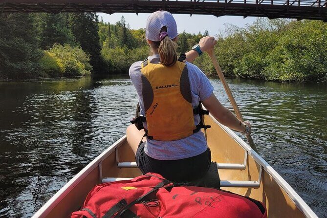 Guided Tours Algonquin Park - Small Group Size: Why Max 11 Changes the Feeling