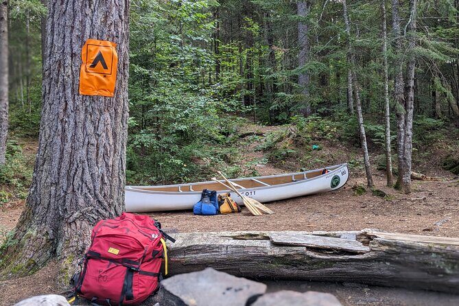 Guided Tours Algonquin Park - Who This Tour Suits Best (and Who Might Want Another Option)