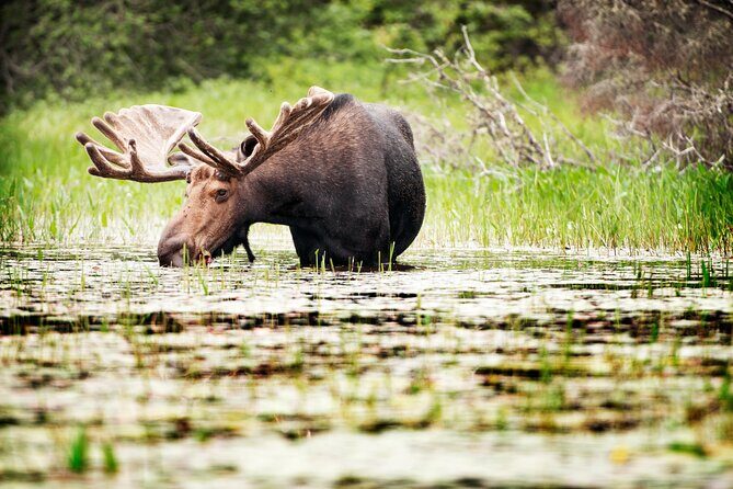 Guided Tours Algonquin Park - How the Guides Shape Your Day (Paige and Rowan Are the Example)