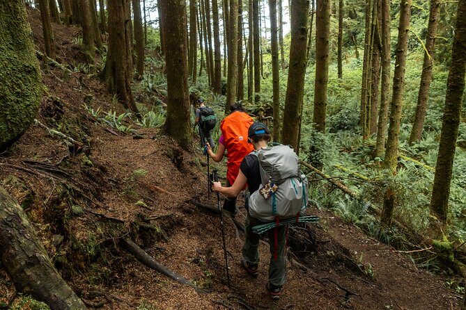 Guided Vancouver Hiking Highlights Day Tour with Gondola Download - Lynn Canyon suspension bridge and Twin Falls