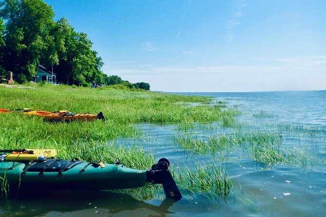 Half-Day Orleans Island Small-Group Sea Kayaking Tour - The Safety Briefing That Makes Beginners Feel Okay