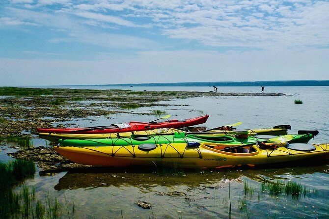 Half-Day Orleans Island Small-Group Sea Kayaking Tour - Small Group Size: Why It’s Worth the Extra Attention