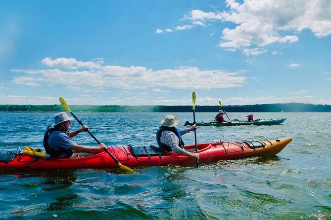 Half-Day Orleans Island Small-Group Sea Kayaking Tour - What’s Included in Your Wetsuit, Shoes, and Waterproof Kit