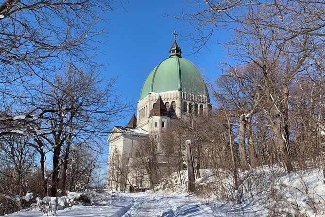 Half day private city tour - Mount Royal Park: the view break that changes everything